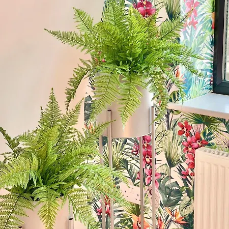 Apartment Minster Peek With Free Parking York